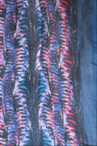 Pool to Party Kaftan Abstract Jungle Print-Navy | Maxi Kaftan Coverup Sundress