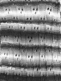 Spun Scarves Knit Scarf Hand Knit Chunky Weave Basket Infinity in Grey Hand Knit Chunky Weave Basket Infinity in Grey by Spun